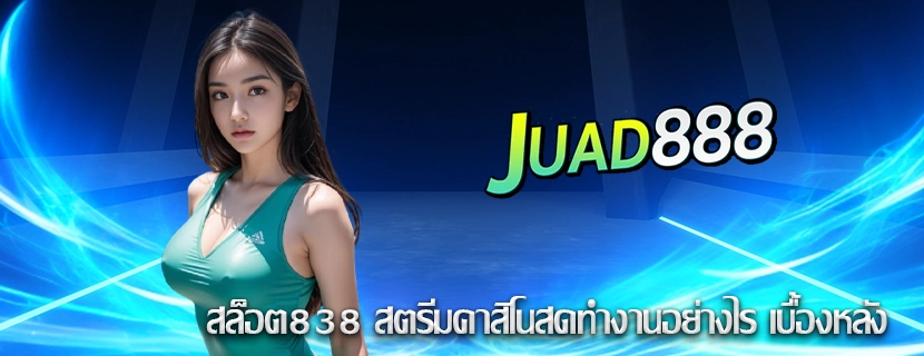 สล็อต838 สตรีมคาสิโนสดทำงานอย่างไร เบื้องหลัง