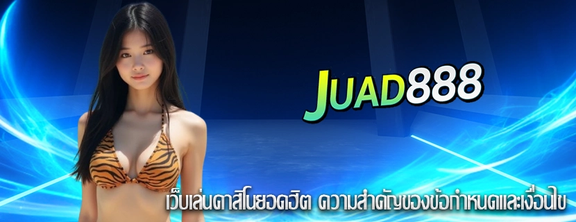 เว็บเล่นคาสิโนยอดฮิต ความสำคัญของข้อกำหนดและเงื่อนไข